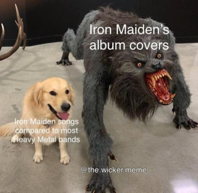 7qqvmmrpwa851.jpg