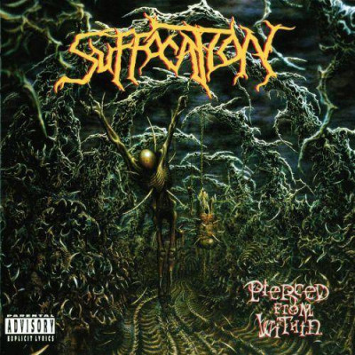 pol_pl_Suffocation-Pierced-From-Within-Lp-59197_1.jpg