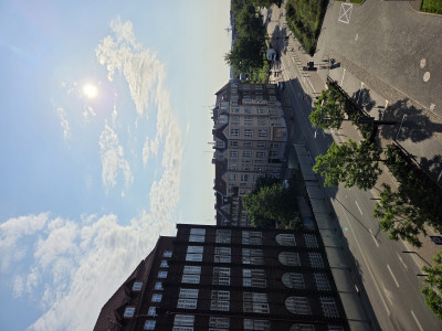 20250607_073217.jpg